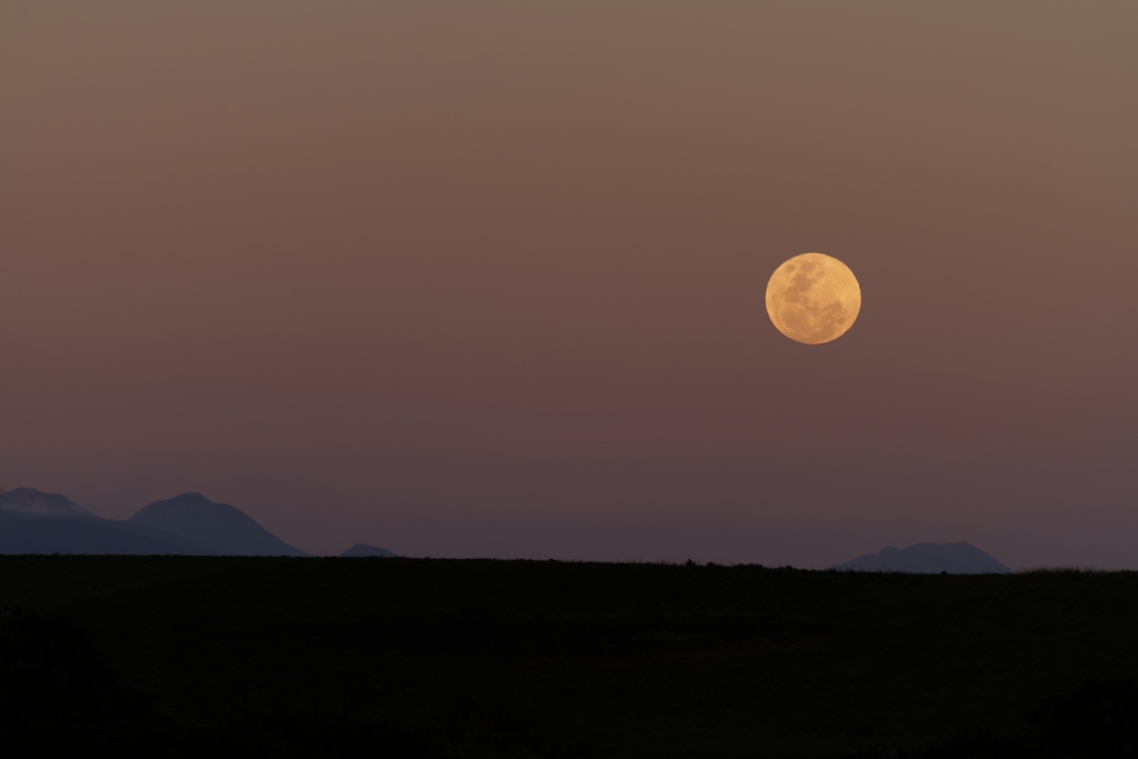 03 - Bontebok NP (15).jpg